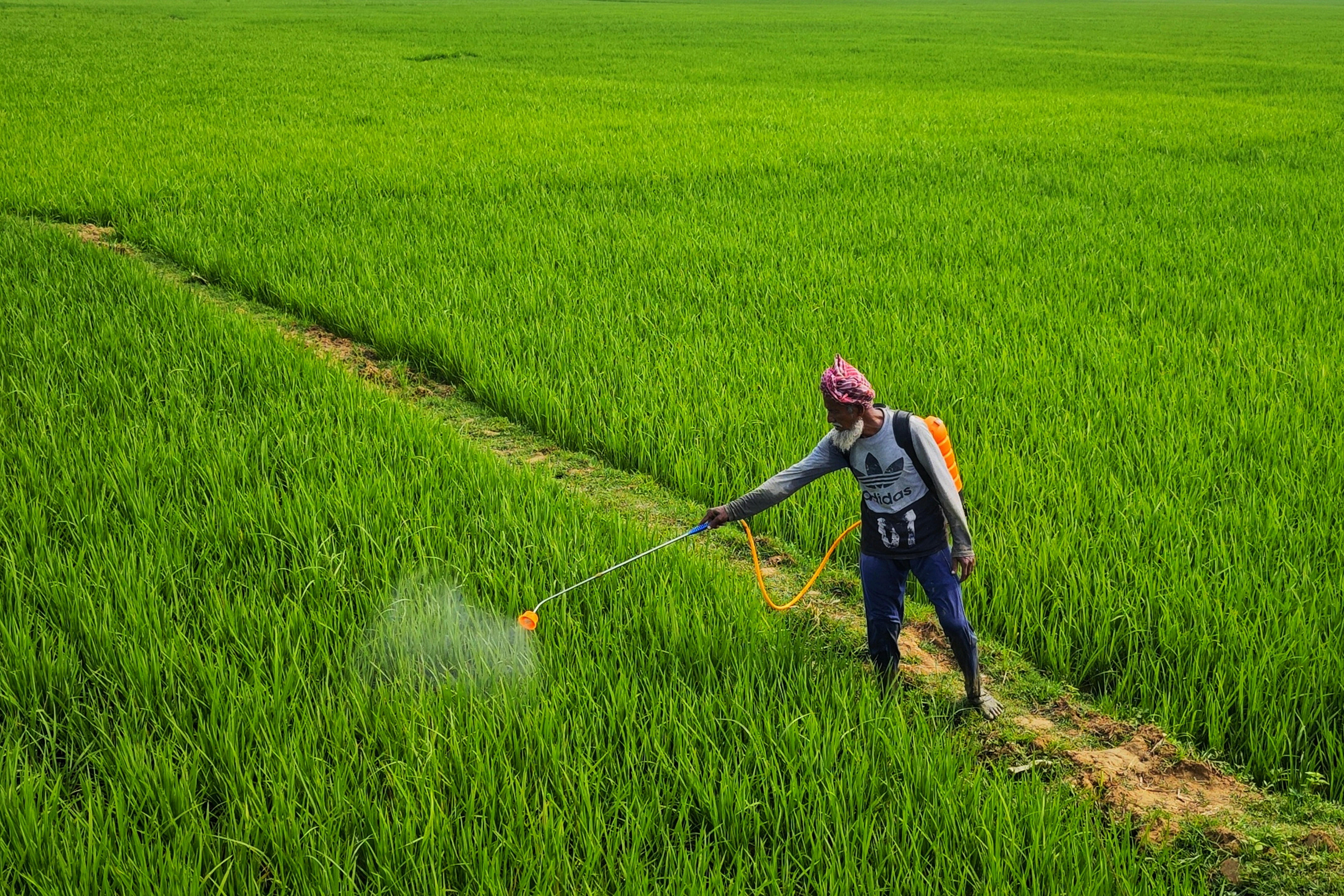 Central Pesticides Board and Registration Committee Proposed Under Draft Pesticides Management Bill, 2025