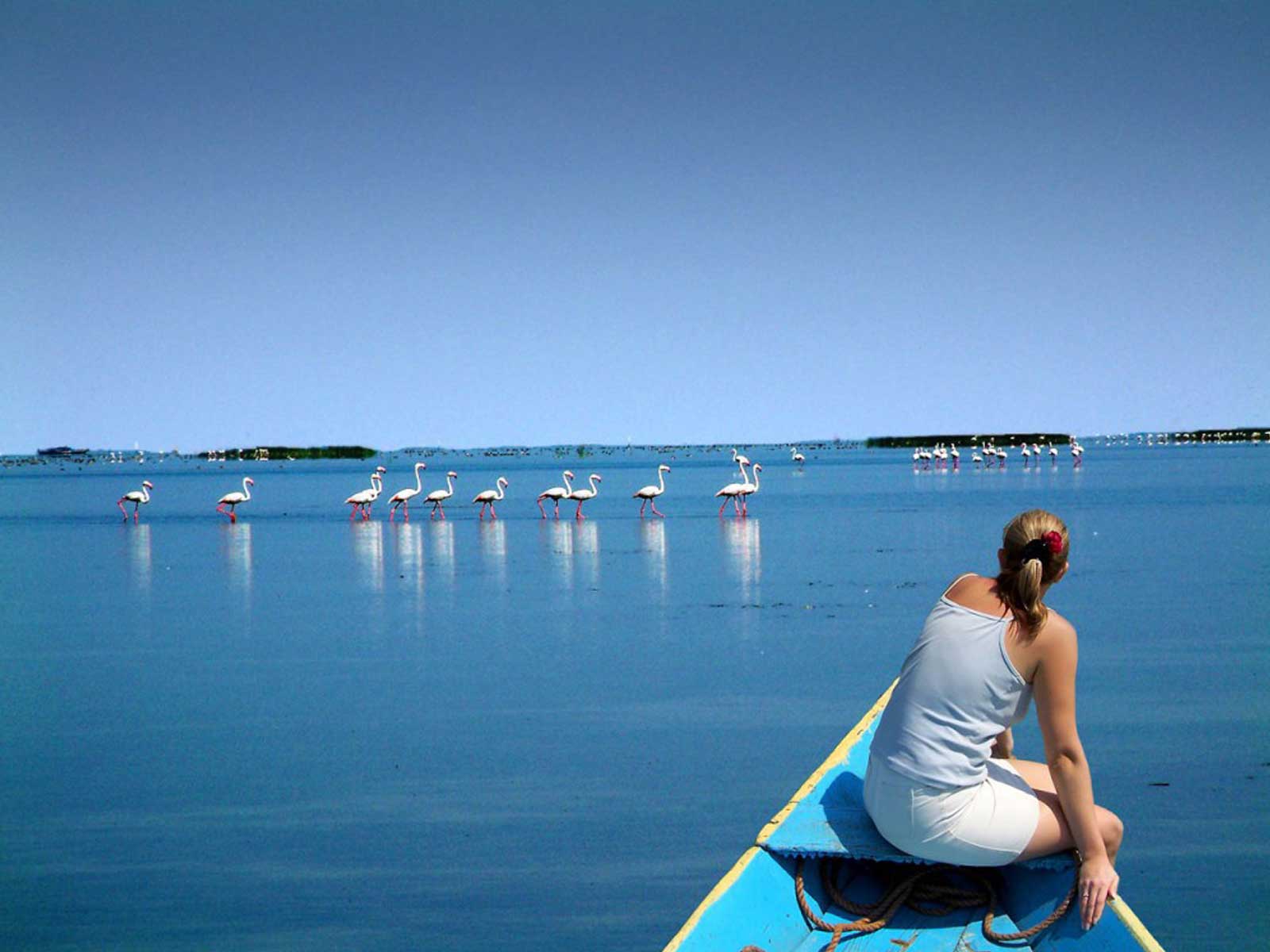 Odisha Government Prepares New Action Plan to Protect Chilika Lake Biodiversity