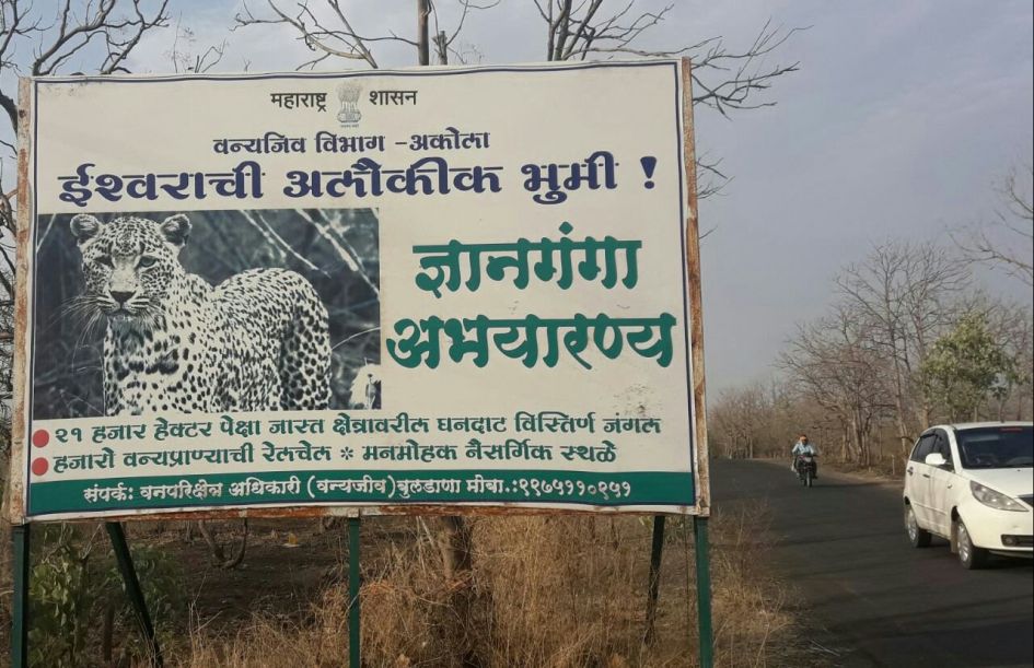 Dnyanganga Wildlife Sanctuary as Part of Melghat Tiger Reserve in Maharashtra