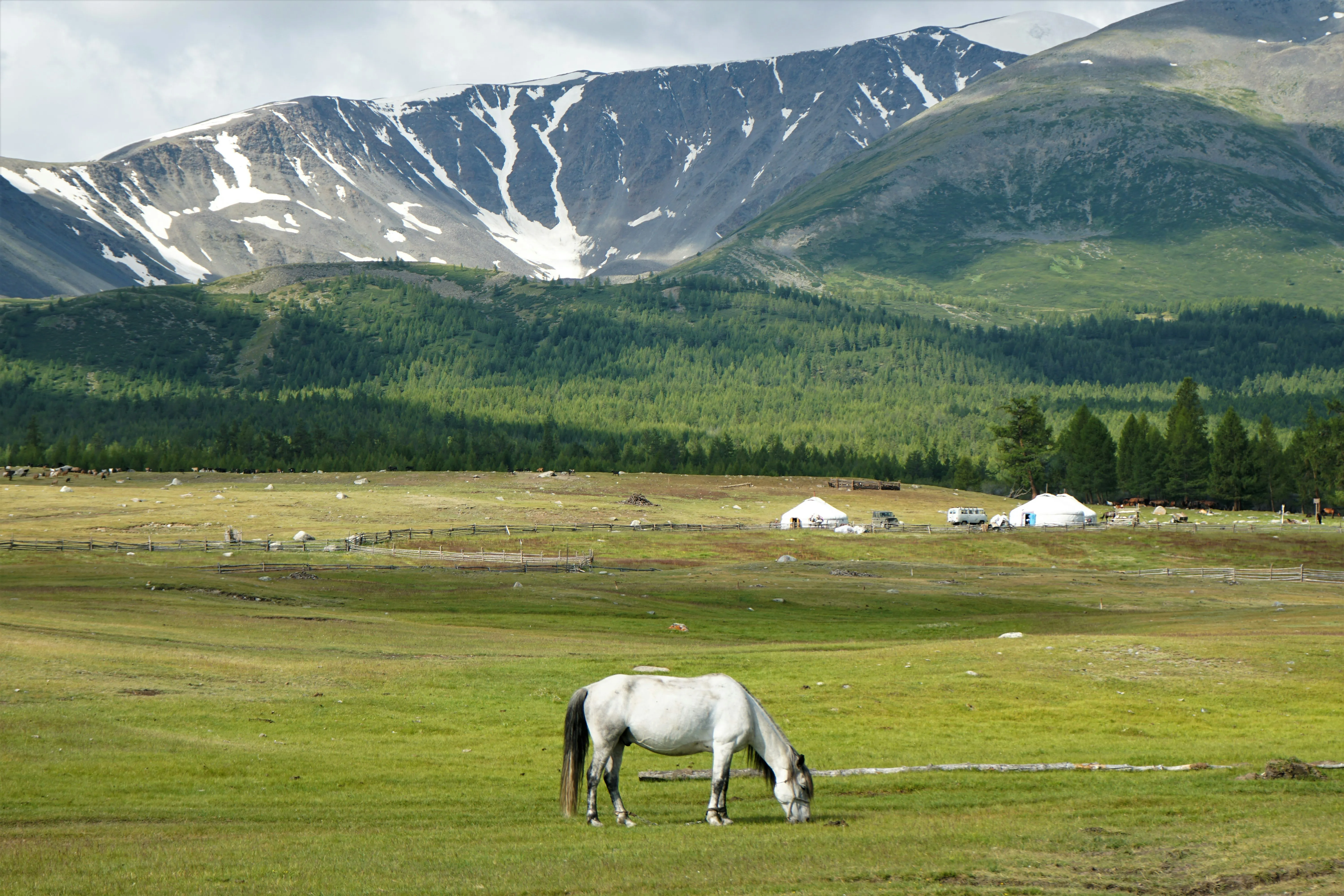 UN Declares 2026 as International Year for Rangelands and Pastoralists