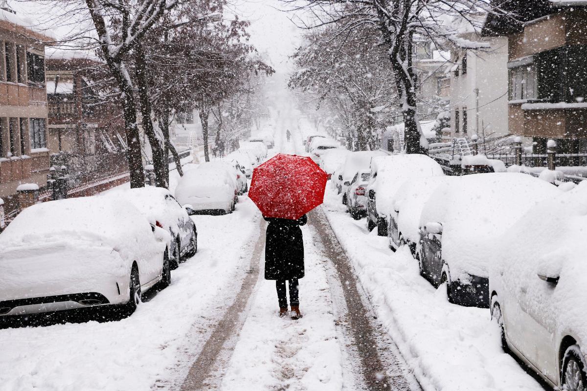 Radiative Cooling Forms Siberian High; Peaks in January–February, Drives Northeast Monsoon