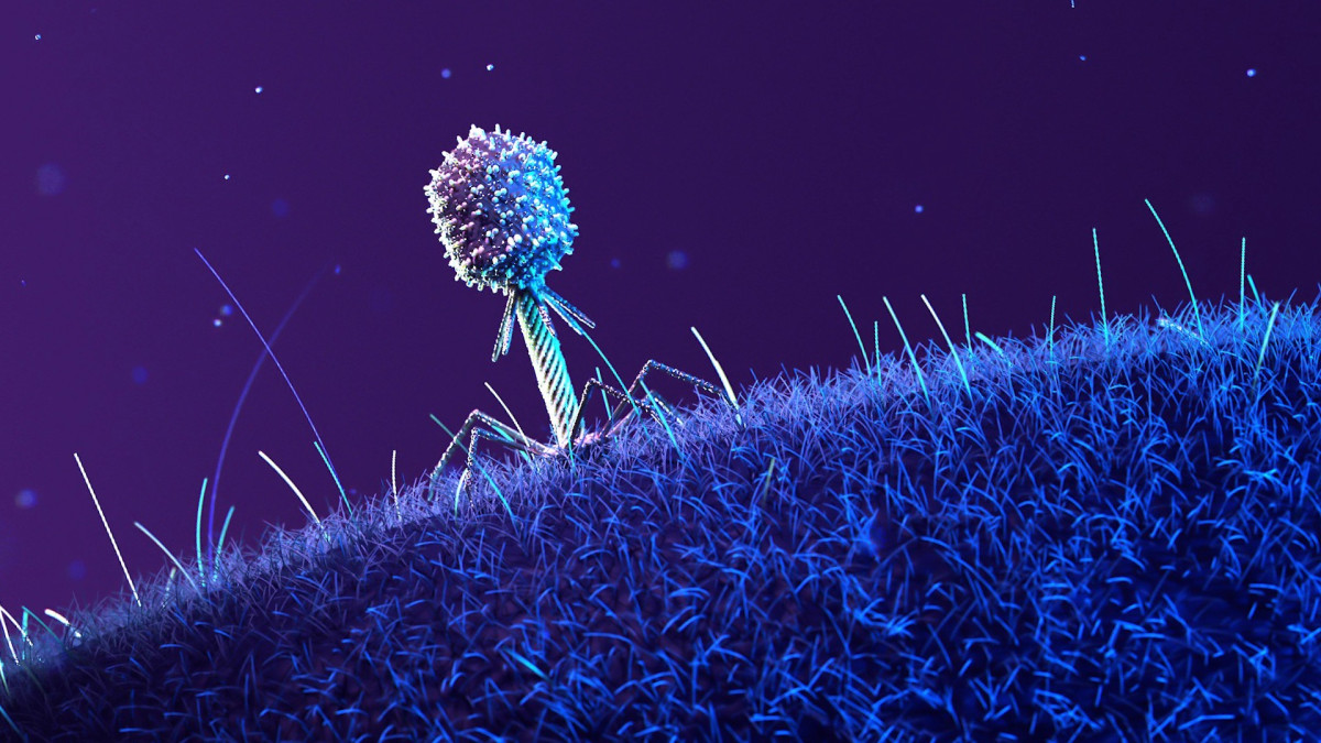 ISRO Advances Space Biotechnology for Life-Support Systems and Microgravity Biology