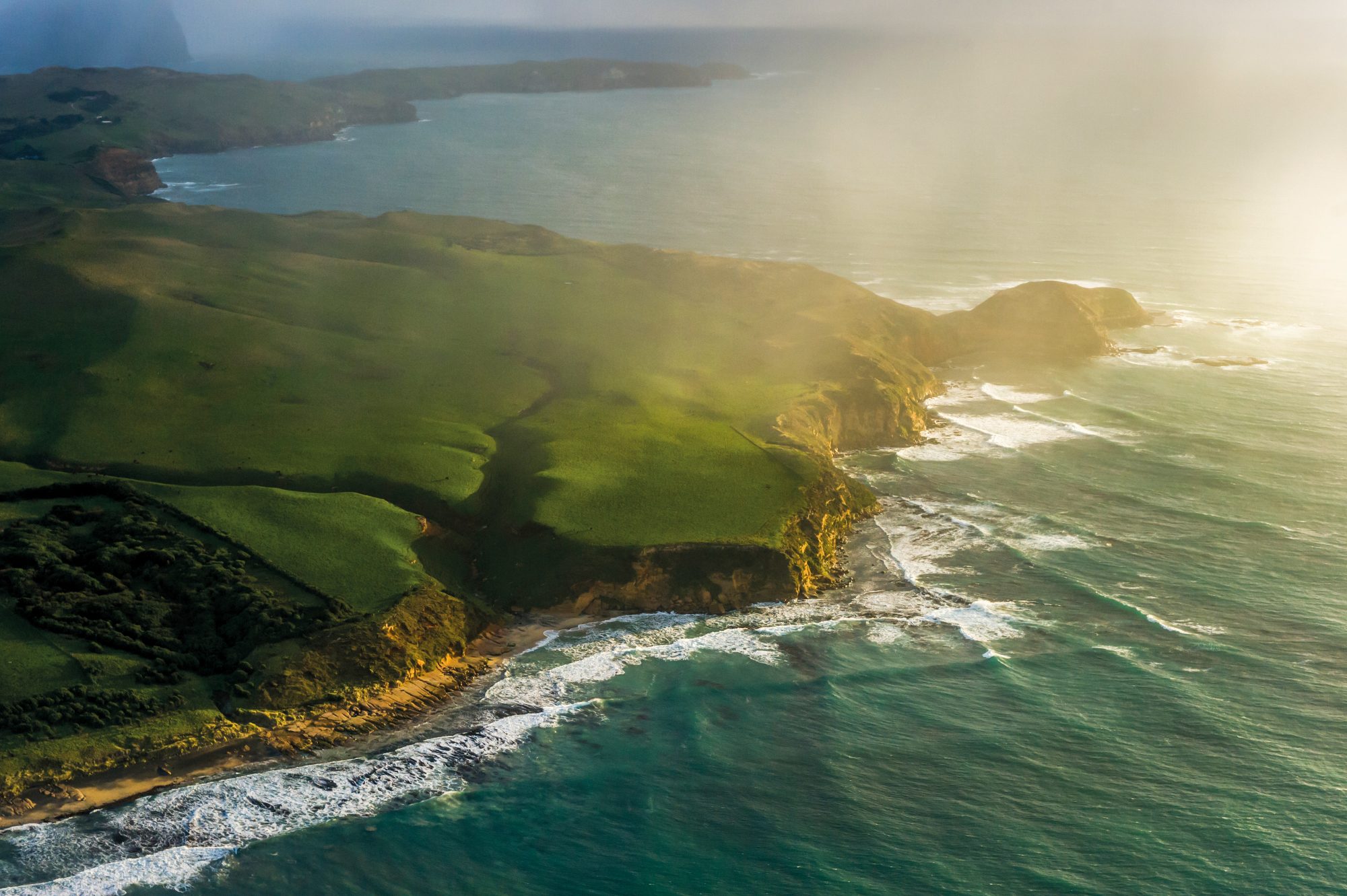 Satellite-Visible Phytoplankton Bloom Encircles Chatham Islands During Austral Summer