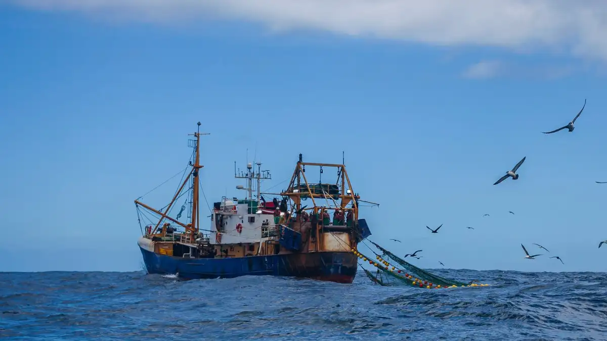 UN Biodiversity Beyond National Jurisdiction Agreement Enters into Force to Govern Biodiversity on High Seas
