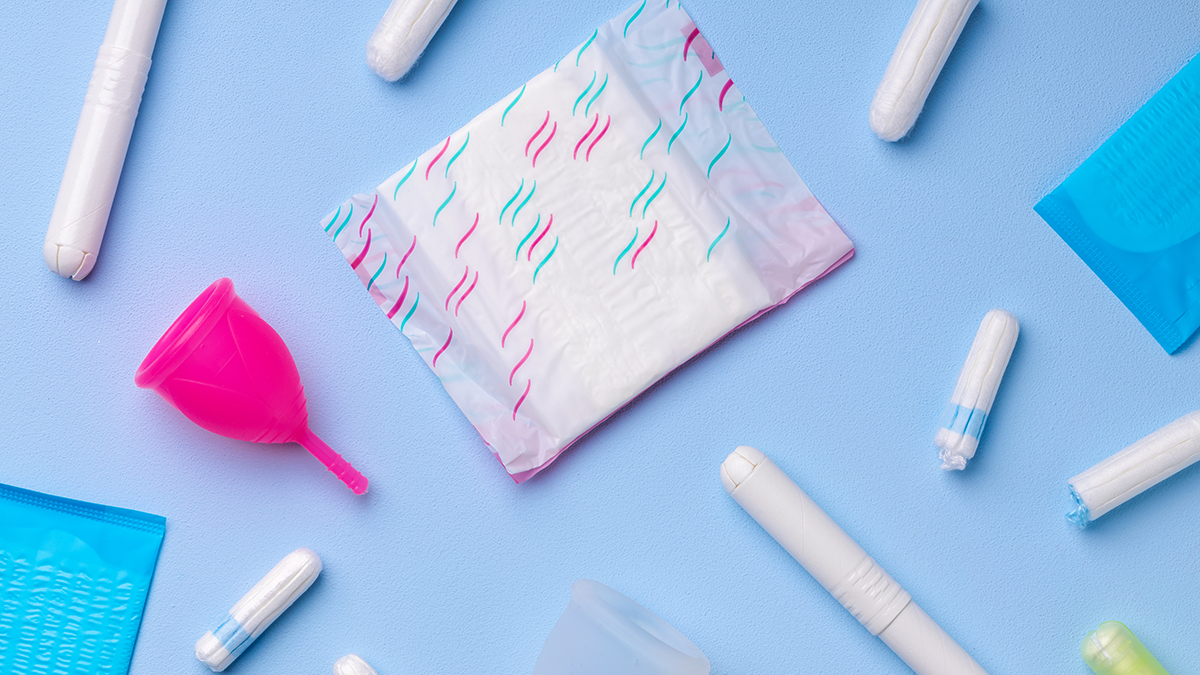 Government Menstrual Hygiene Initiatives