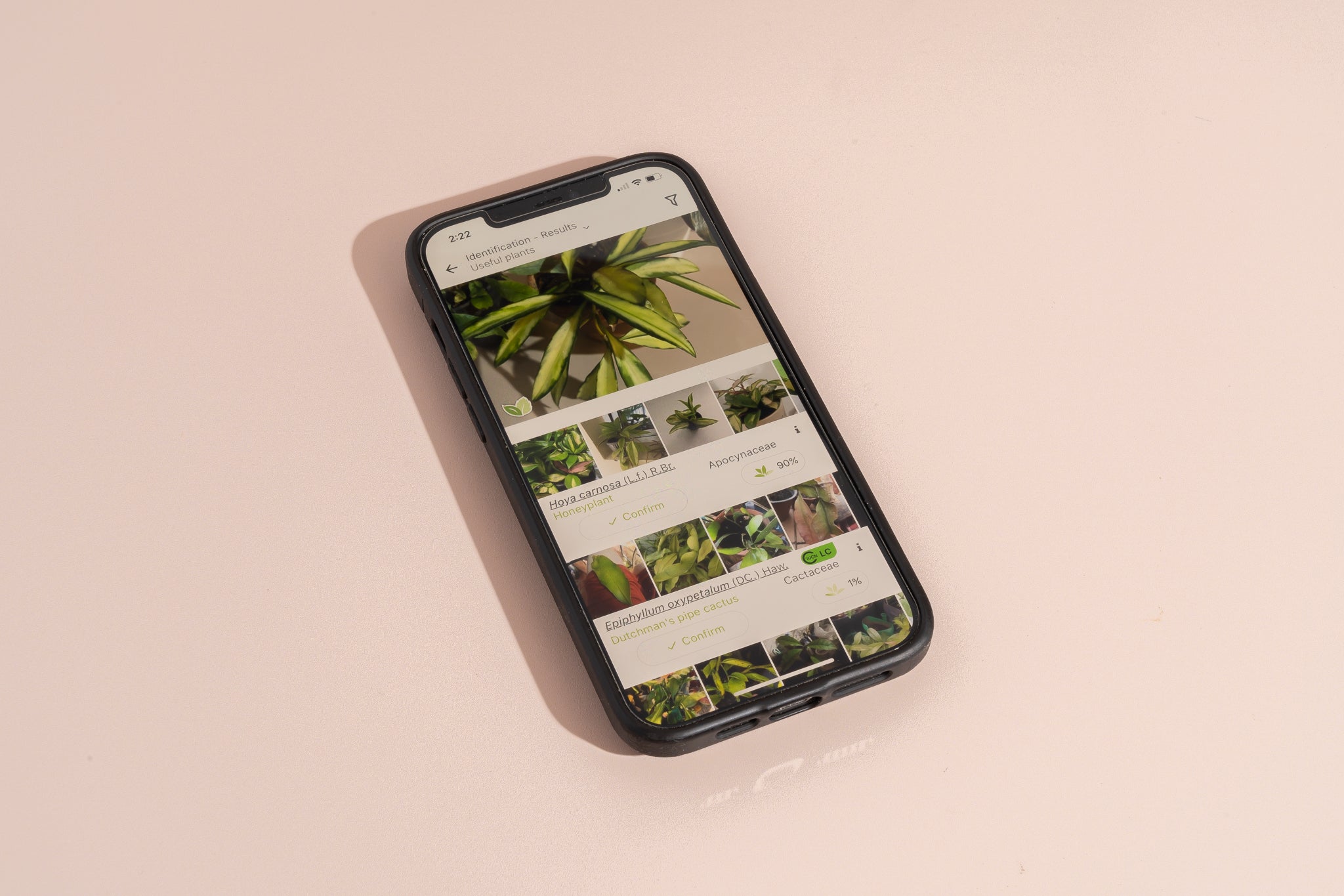 Kerala to Launch NeophyteID AI App