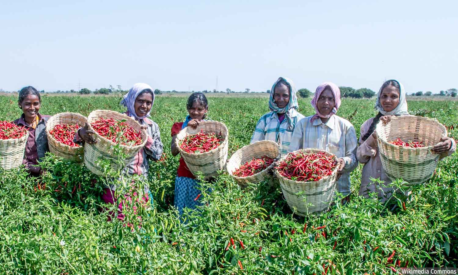 AgriStack Under Digital Agriculture Mission