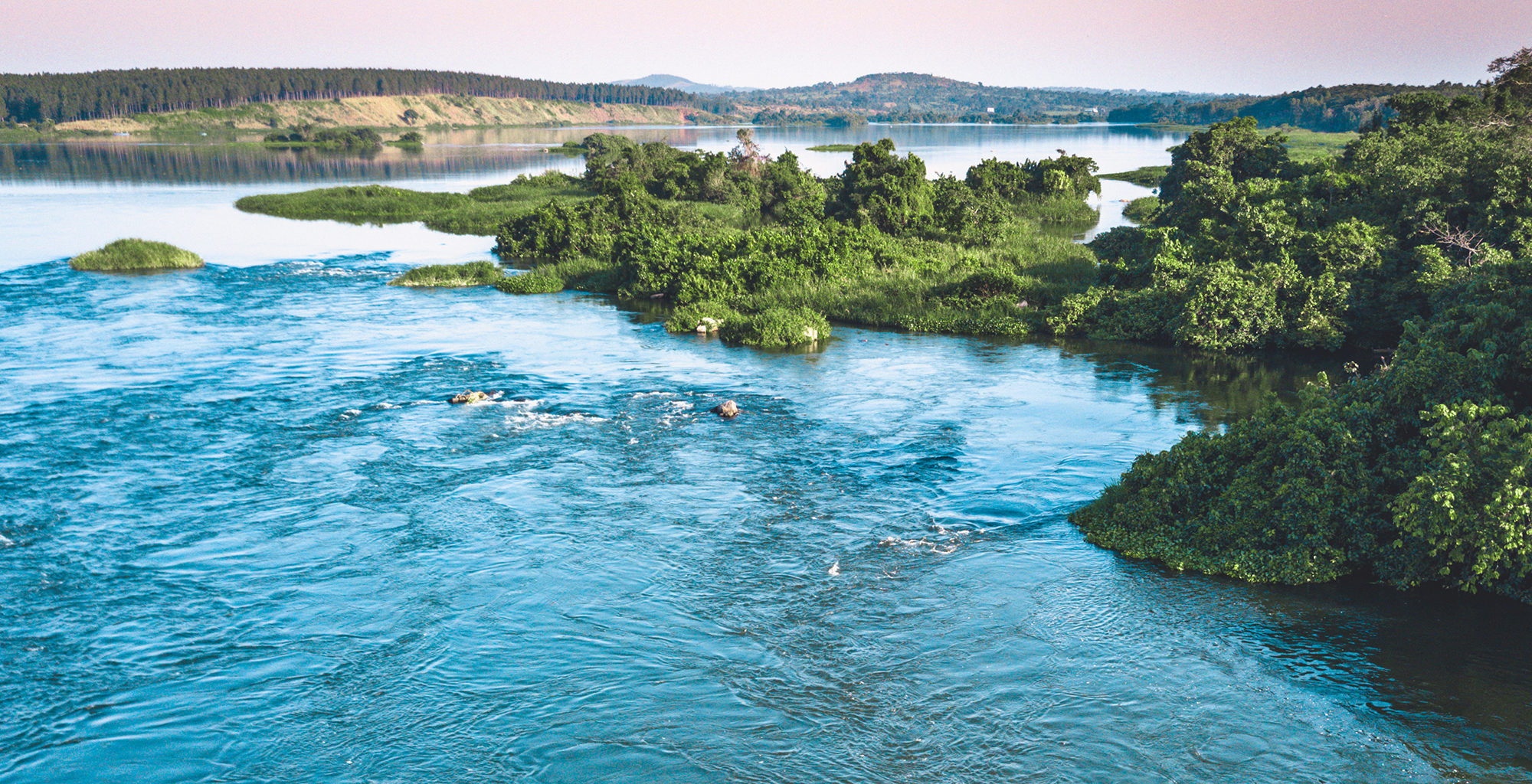 Lake Victoria Turns Green