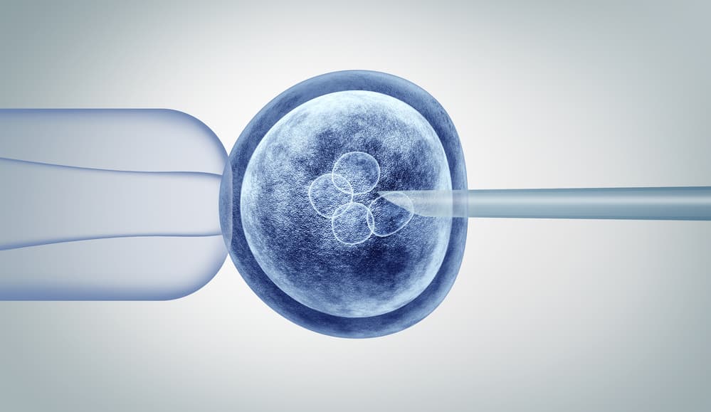 Nature study reports PERT genome-editing strategy to treat nonsense mutation disorders