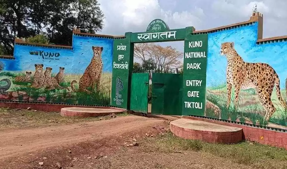 Kuno National Park in Sheopur, MP
