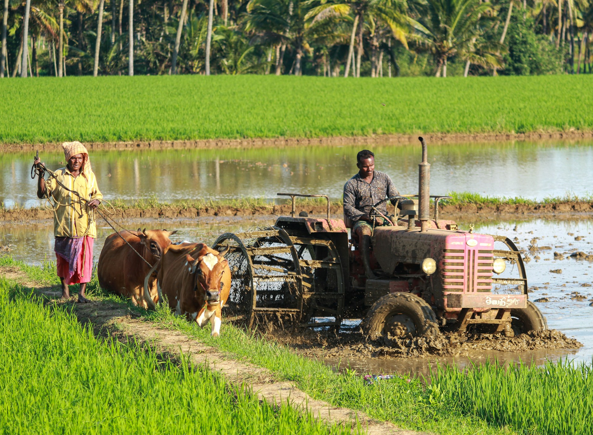 Pradhan Mantri Kisan Samman Nidhi