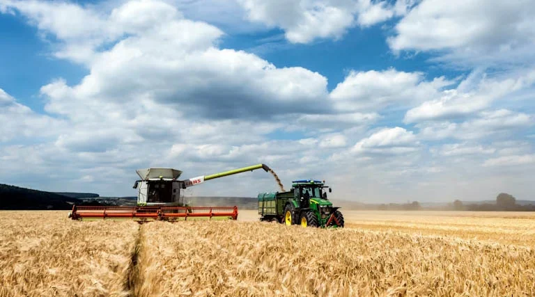 India’s Agriculture Output Peaks in 2024-25