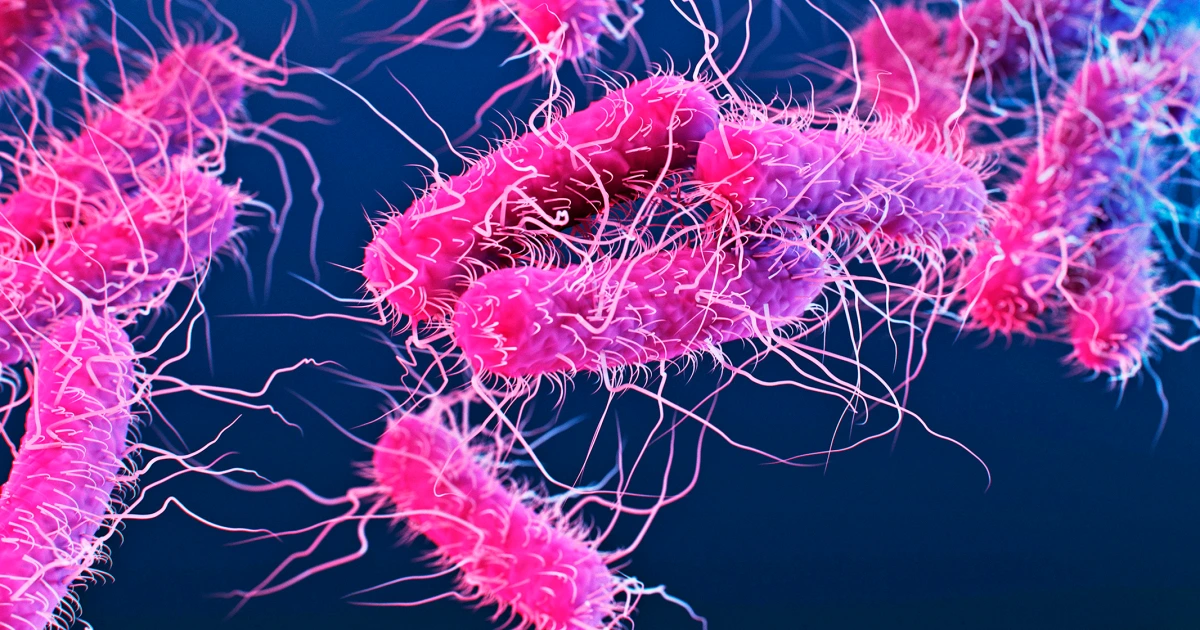 Kerala Reports Shigellosis Outbreak