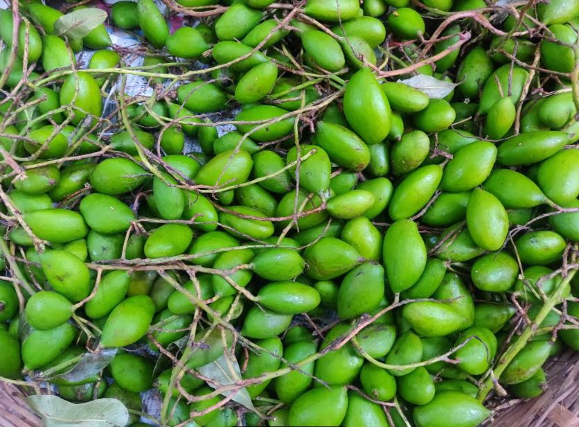 Appemidi Mango of Uttara Kannada and Shivamogga