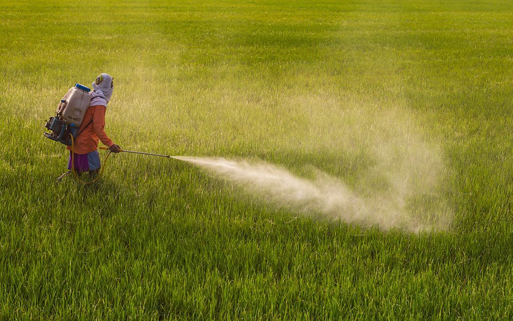 Pesticides Management Bill, 2026