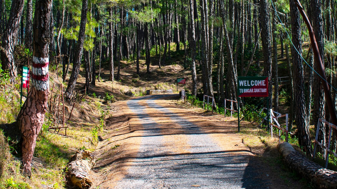 Uttarakhand Forest Department Launches 2026