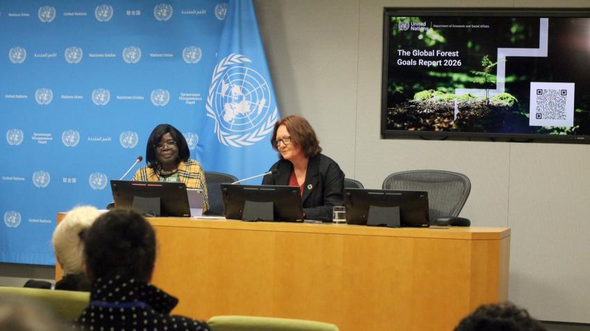 Global Forest Goals Report 2026