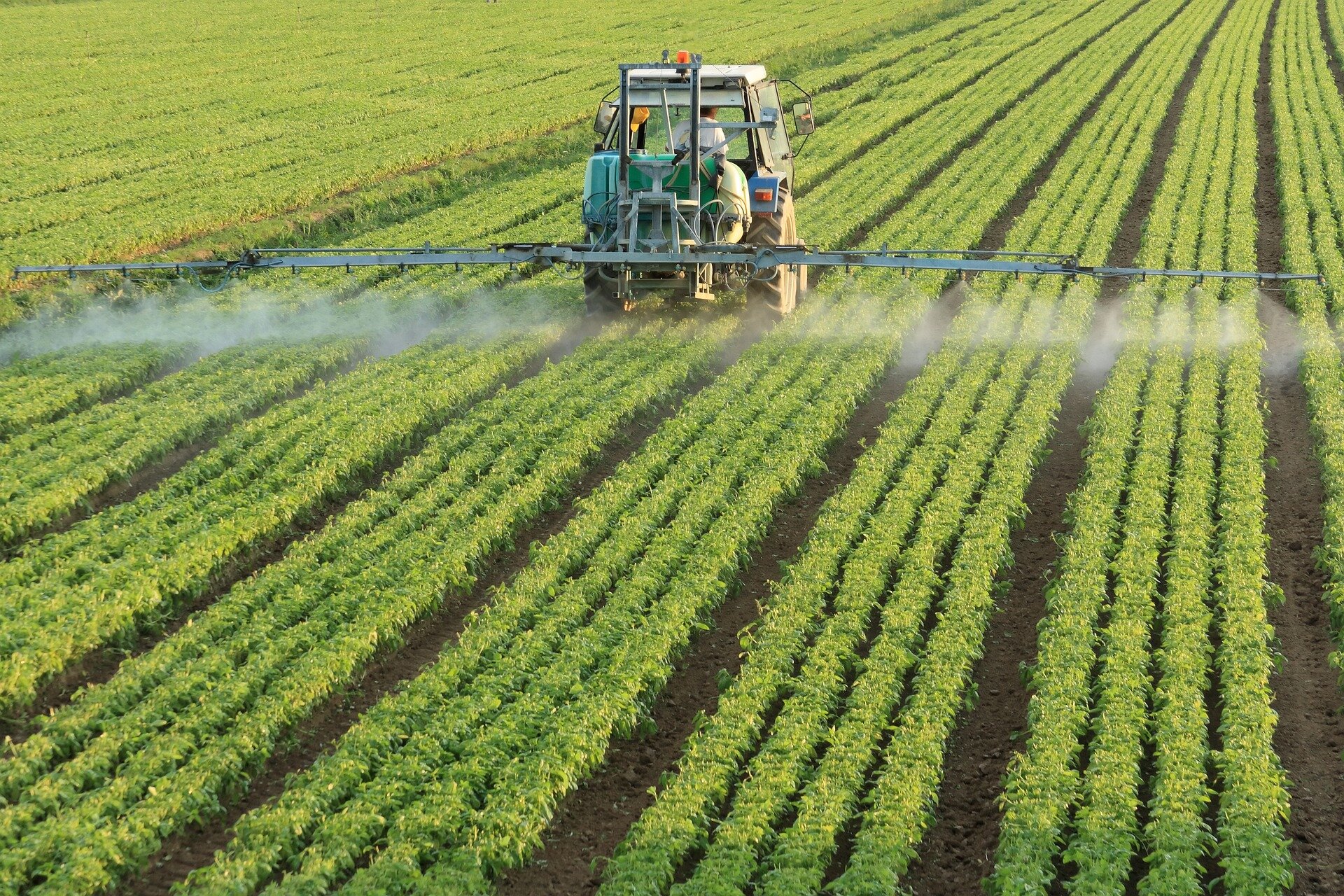 Central Expert Panel Reviews Paraquat Dichloride and Carbosulfan Over Acute Toxicity