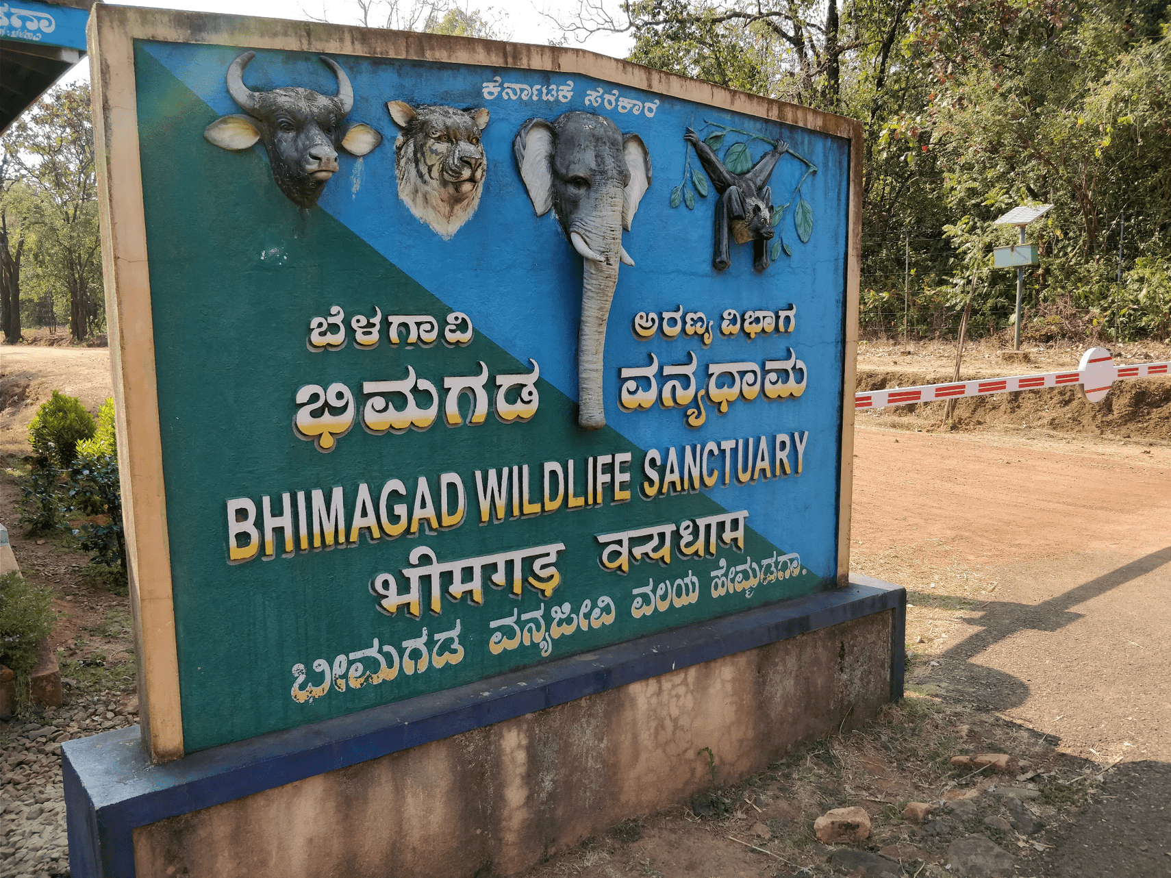 Bhimgad Wildlife Sanctuary