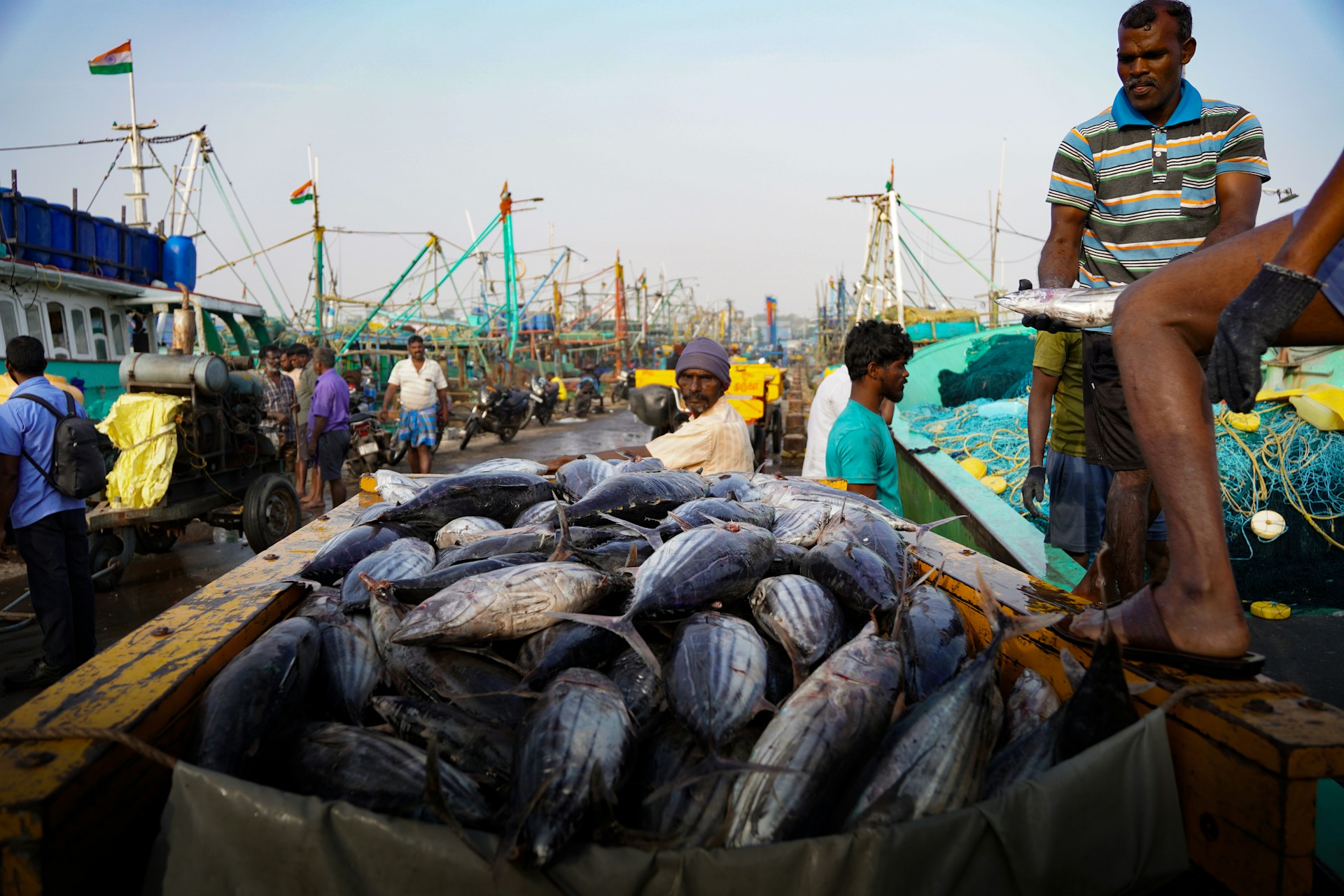 India’s Seafood Exports Hit 19.72 Lakh Tonnes, $8.46 Billion in FY2025–26