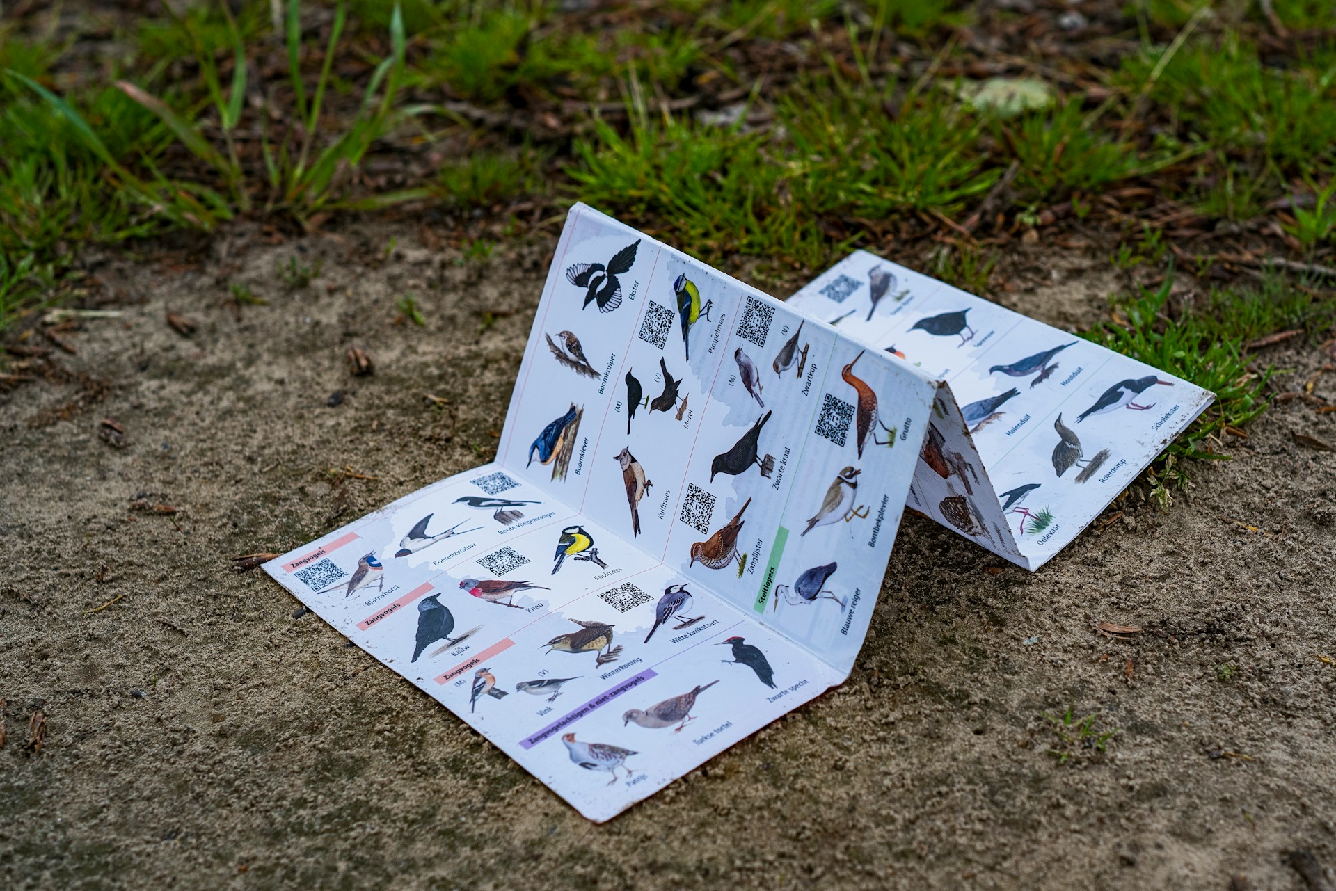 Delhi Bird Atlas 2025 Released