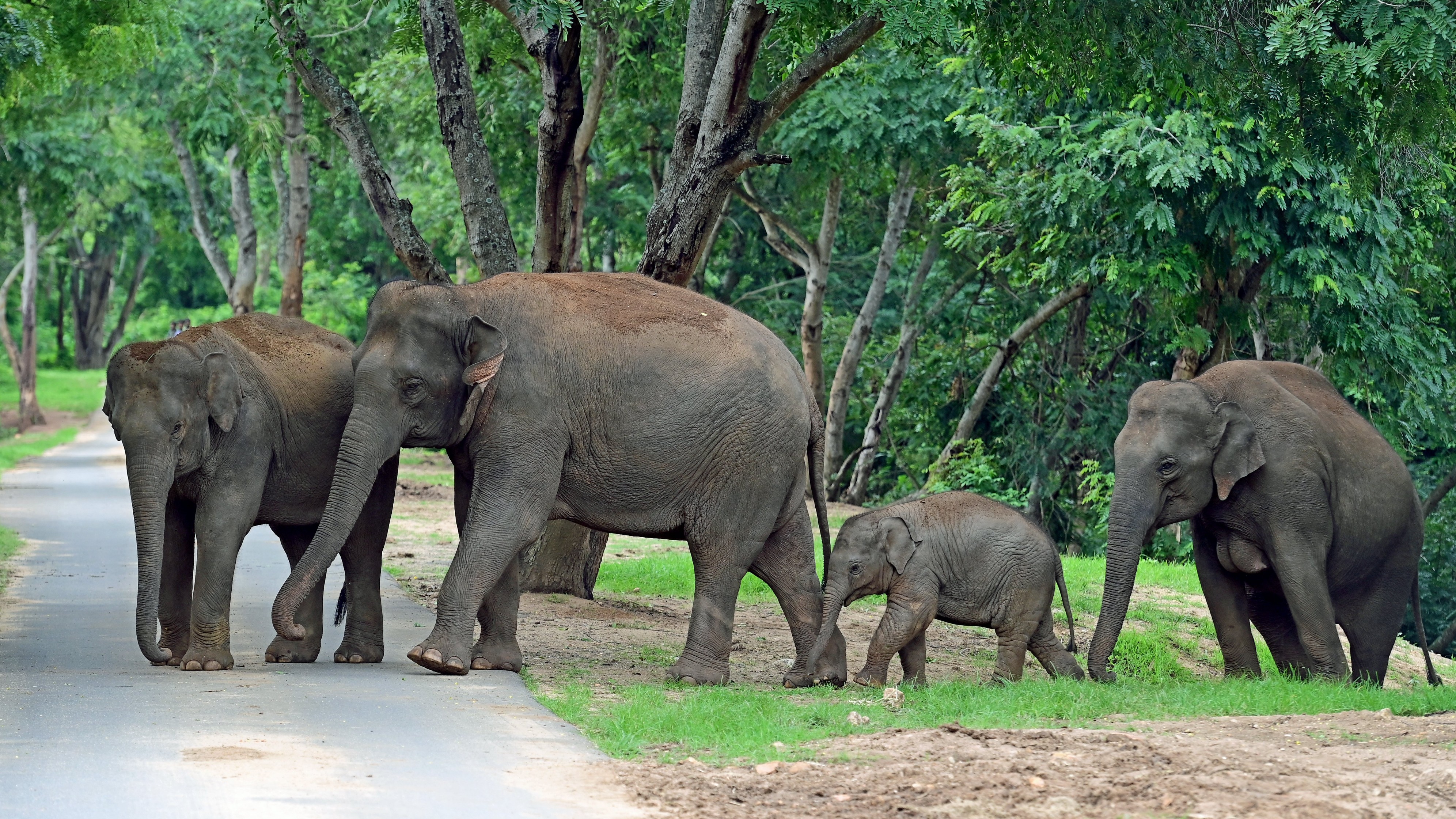 Western Ghats May Get Ecologically Sensitive Area Notifications