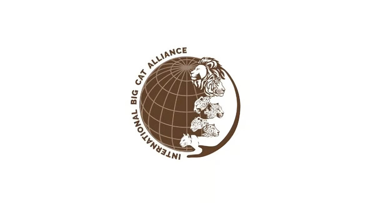 Bangladesh Joins International Big Cat Alliance