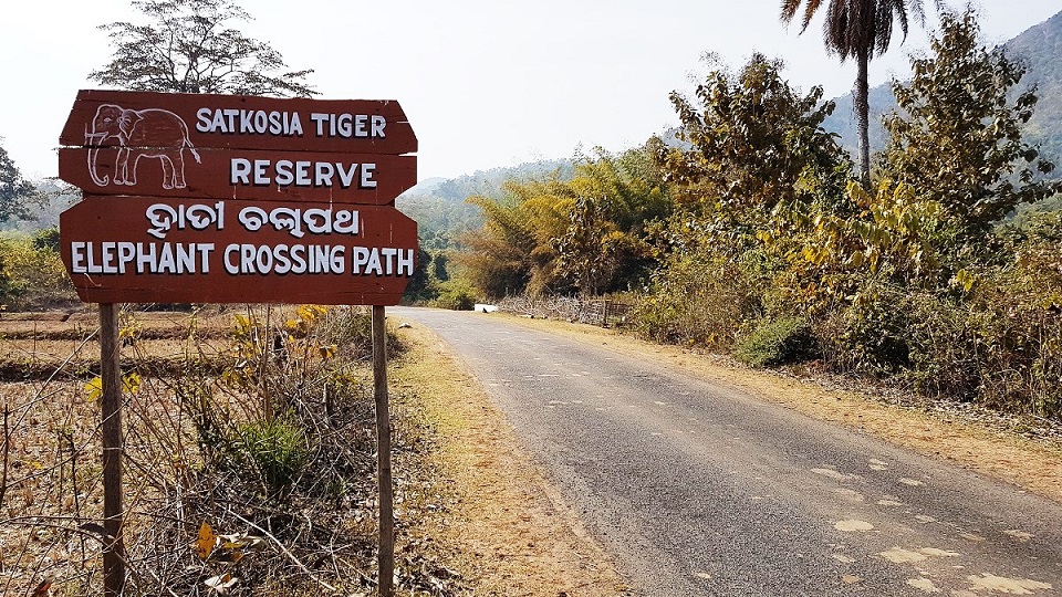 Satkosia Tiger Reserve Odisha
