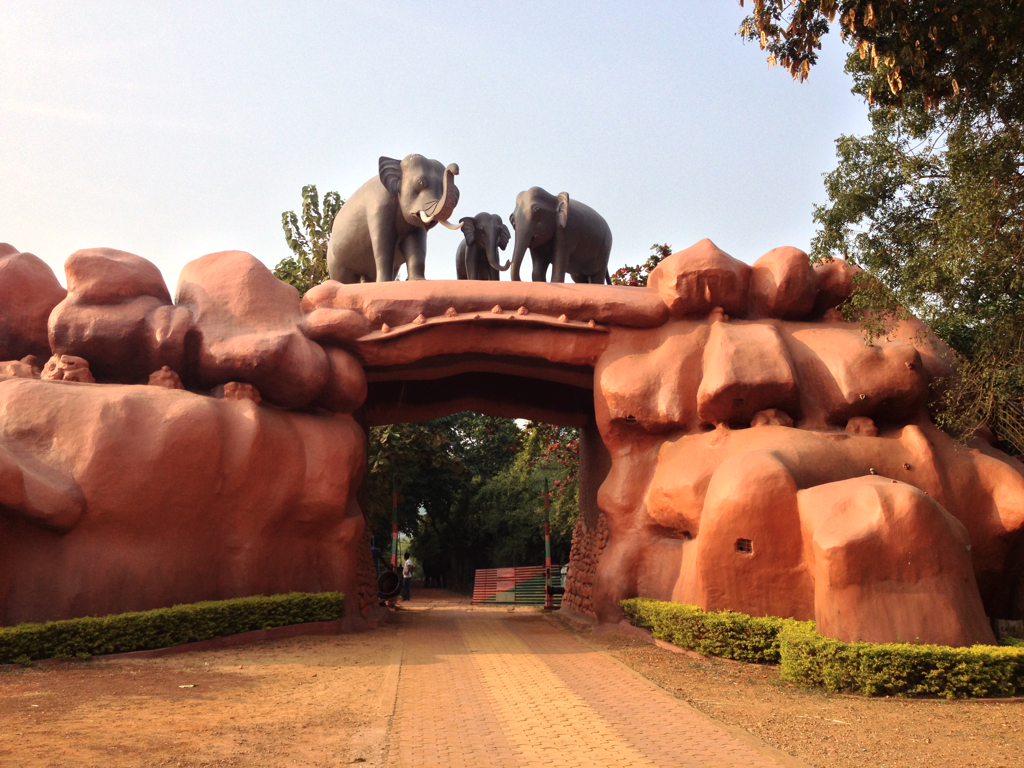Chandaka Wildlife Sanctuary, Bhubaneswar