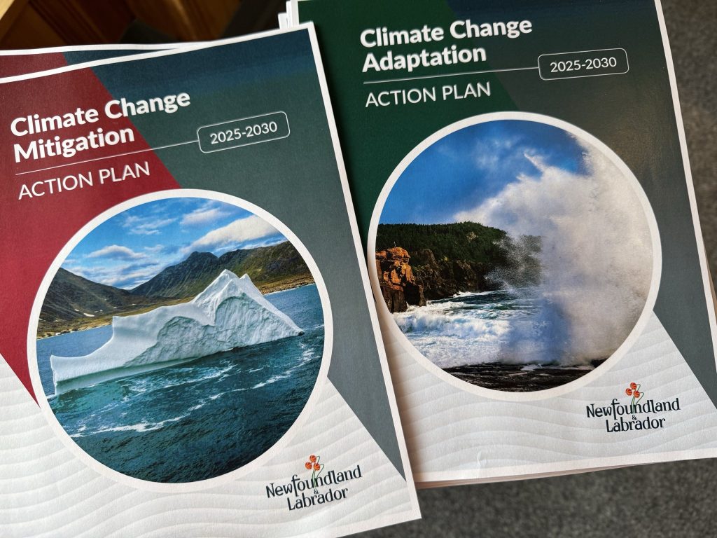 World Bank’s Climate Change Action Plan 2021–2025