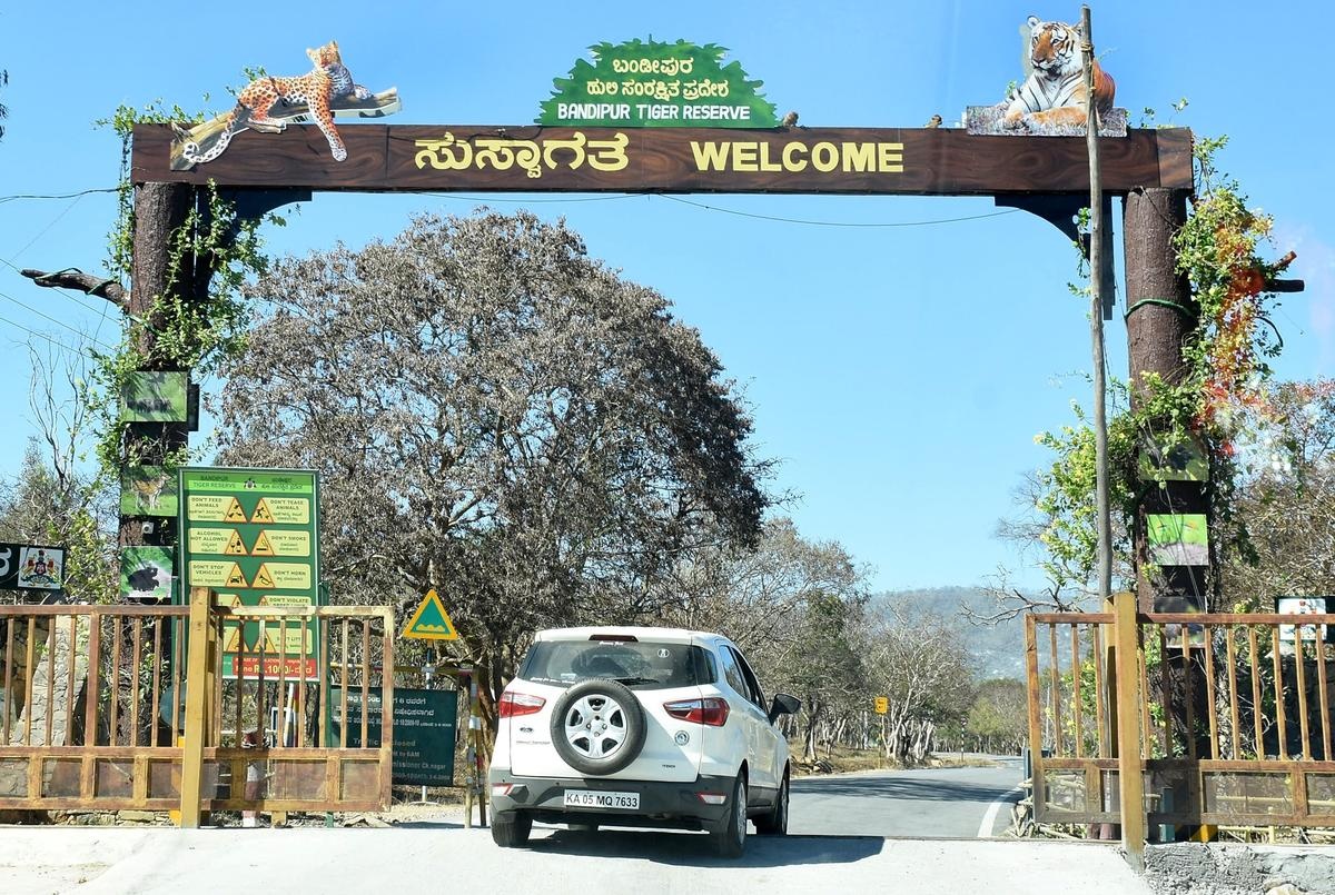 Bandipur Tiger Reserve, Karnataka