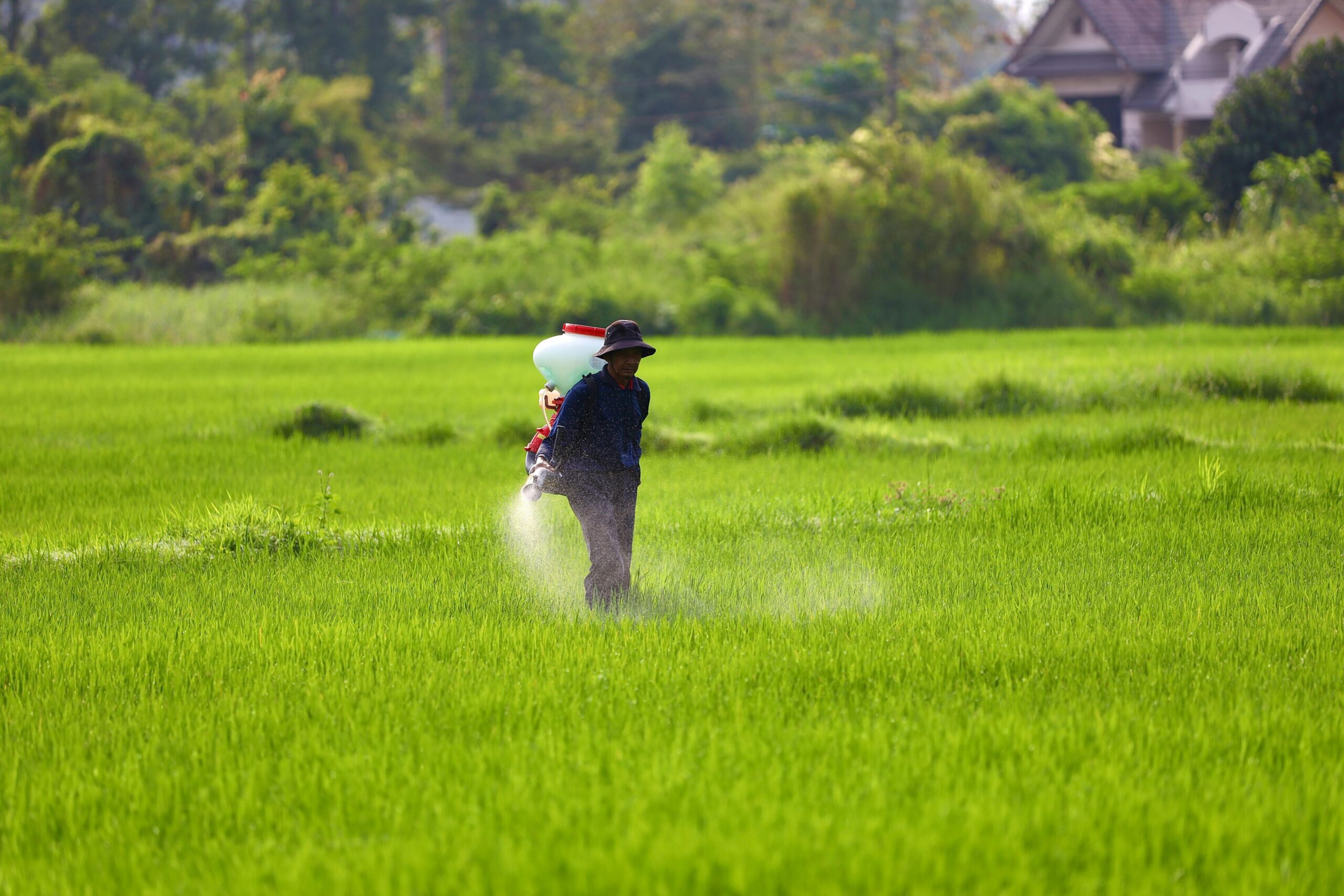 Ministry of Agriculture Accepts Ban on Paraquat Dichloride Herbicide in India