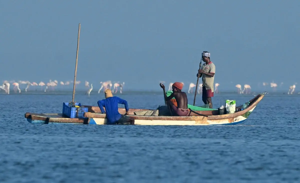 India Deposits Instrument of Acceptance for WTO Agreement on Fisheries Subsidies