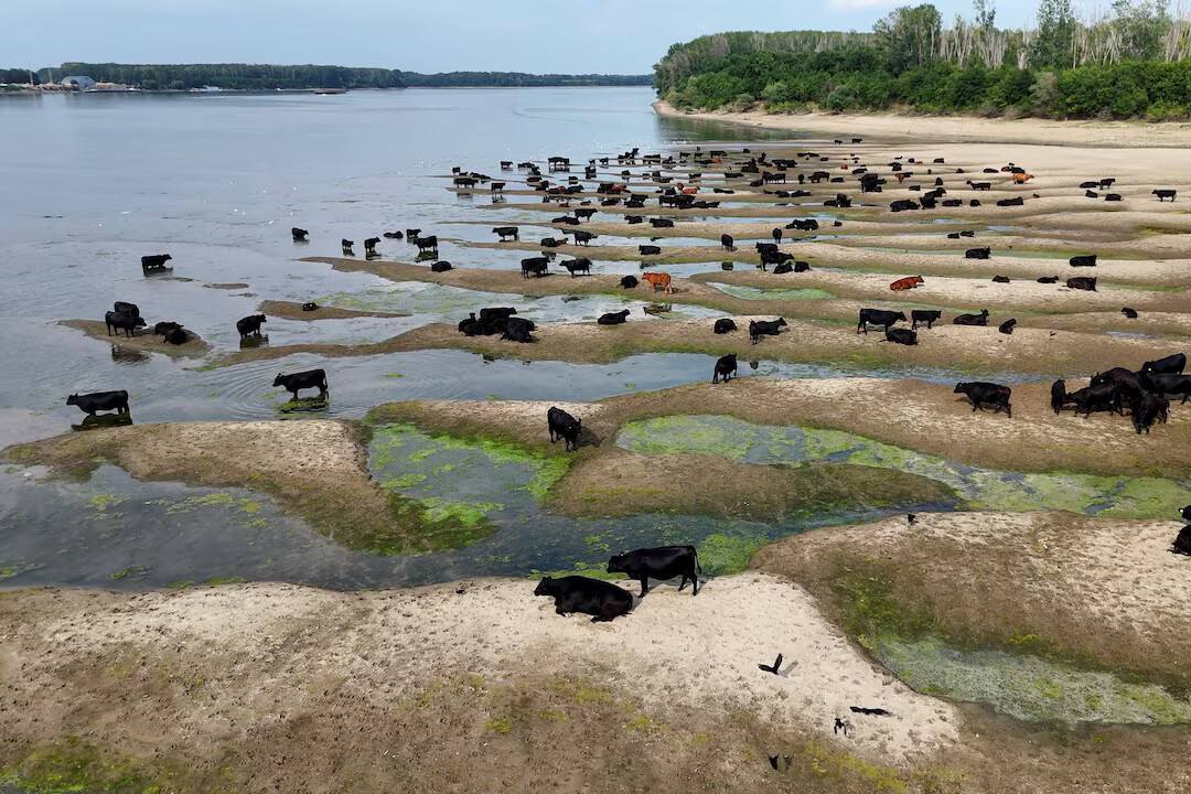 Danube at 30-Year Low in Romania as Heatwave Dries Europe’s Rivers