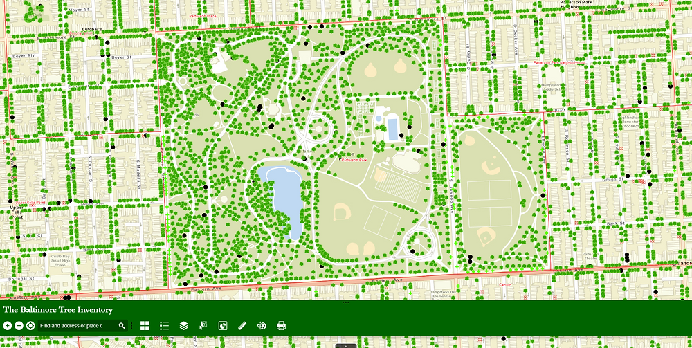 InvenTree‑meta, India’s Largest Tree Inventory Meta‑dataset (1991–2023)