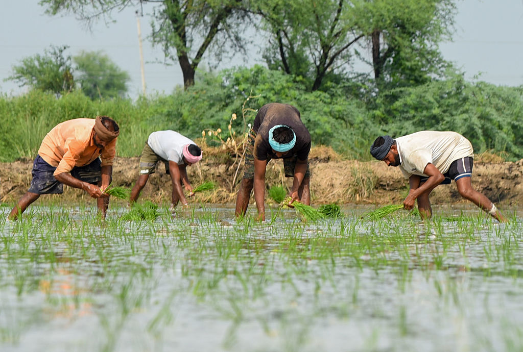 National Biodiversity Authority Releases ₹8.22 Crore ABS Funds