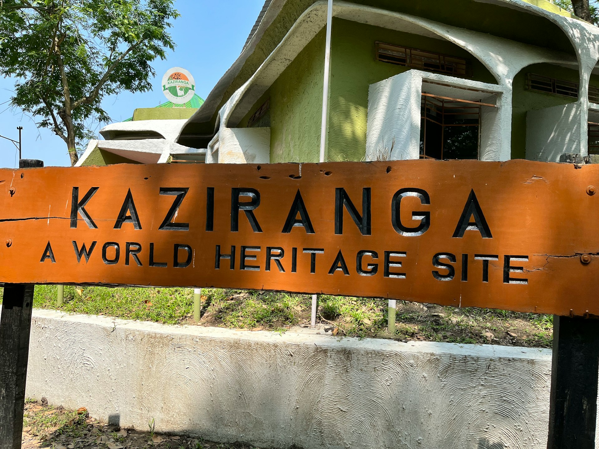 Assam Releases Captive-Bred Slender-Billed Vultures at Kaziranga