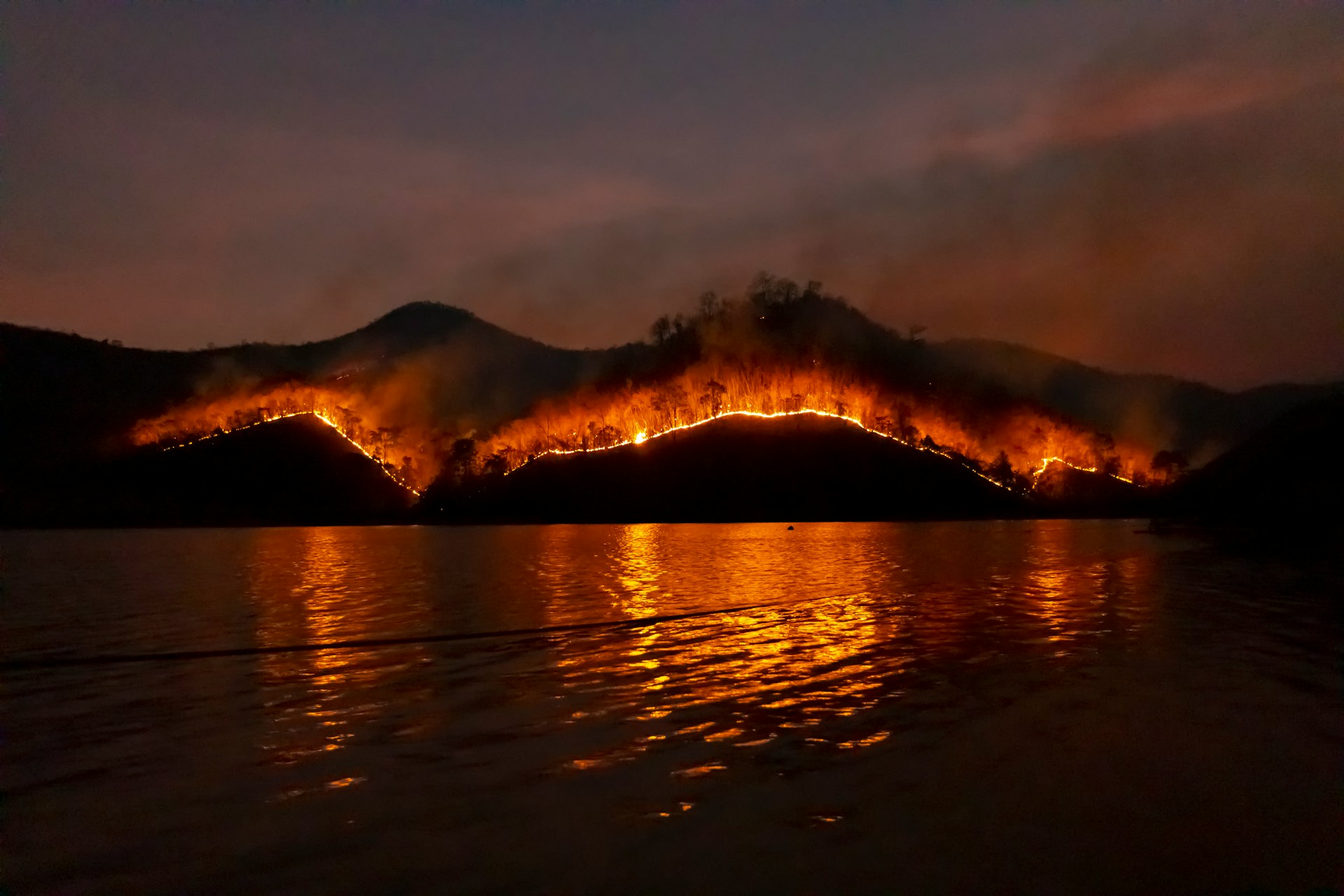 Parliamentary Standing Committee flags data gaps on Himalayan forest fires