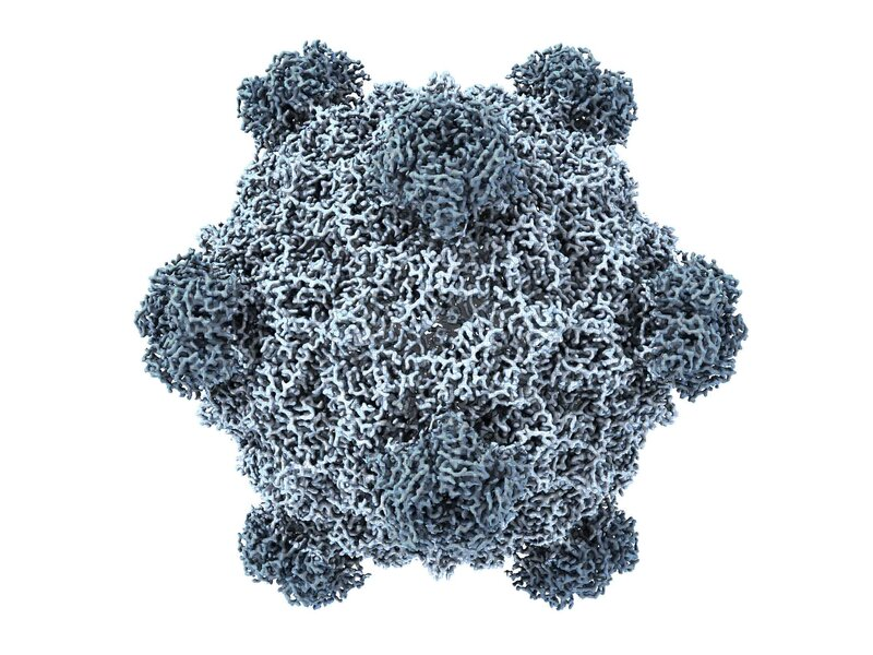 Generative AI Designs Novel Bacteriophage Genomes Using Sequence Patterns