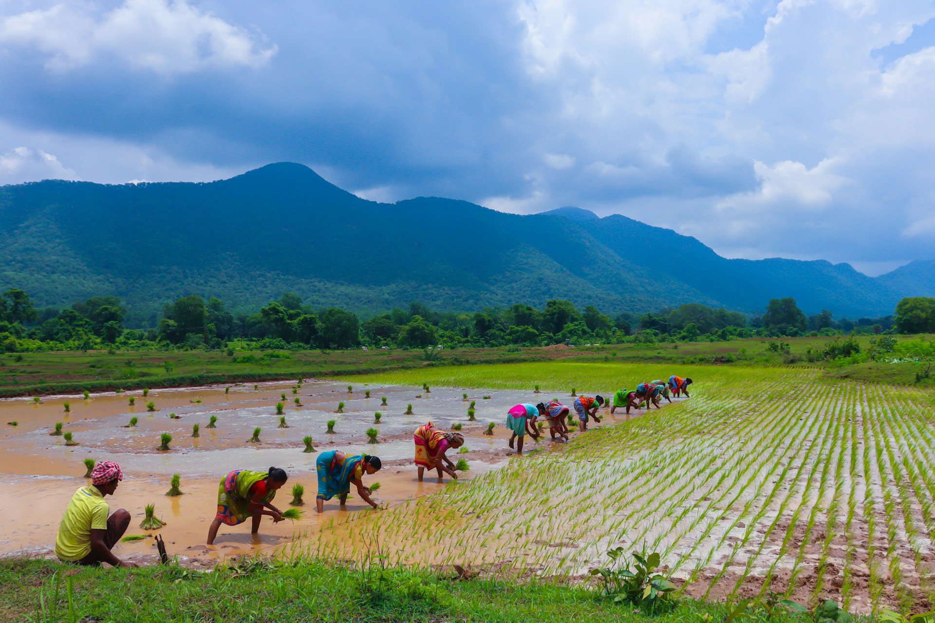 India’s Agriculture GVA Rises from ₹20.94 lakh crore to ₹52.08 lakh crore