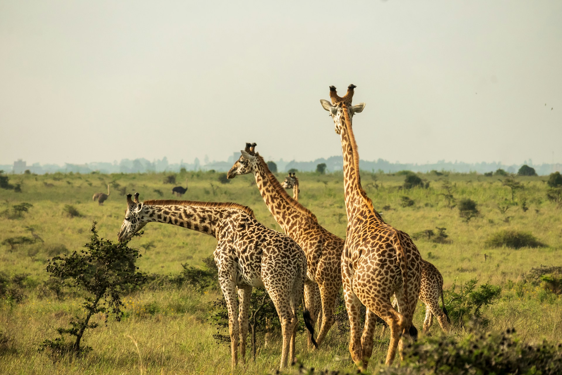 SBI 7 Concludes in Nairobi, Kenya