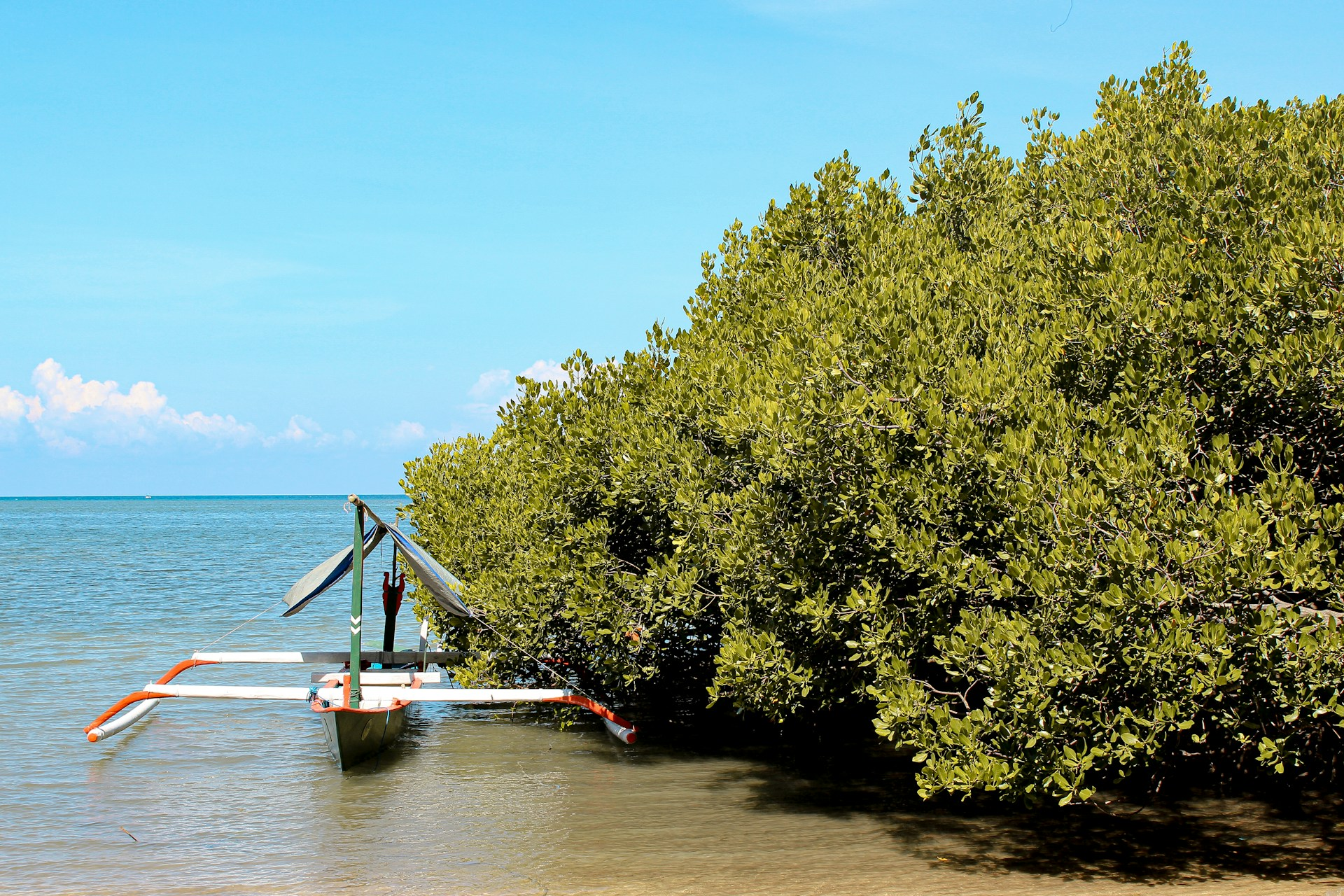 Hara Mangrove Forests on Qeshm Island
