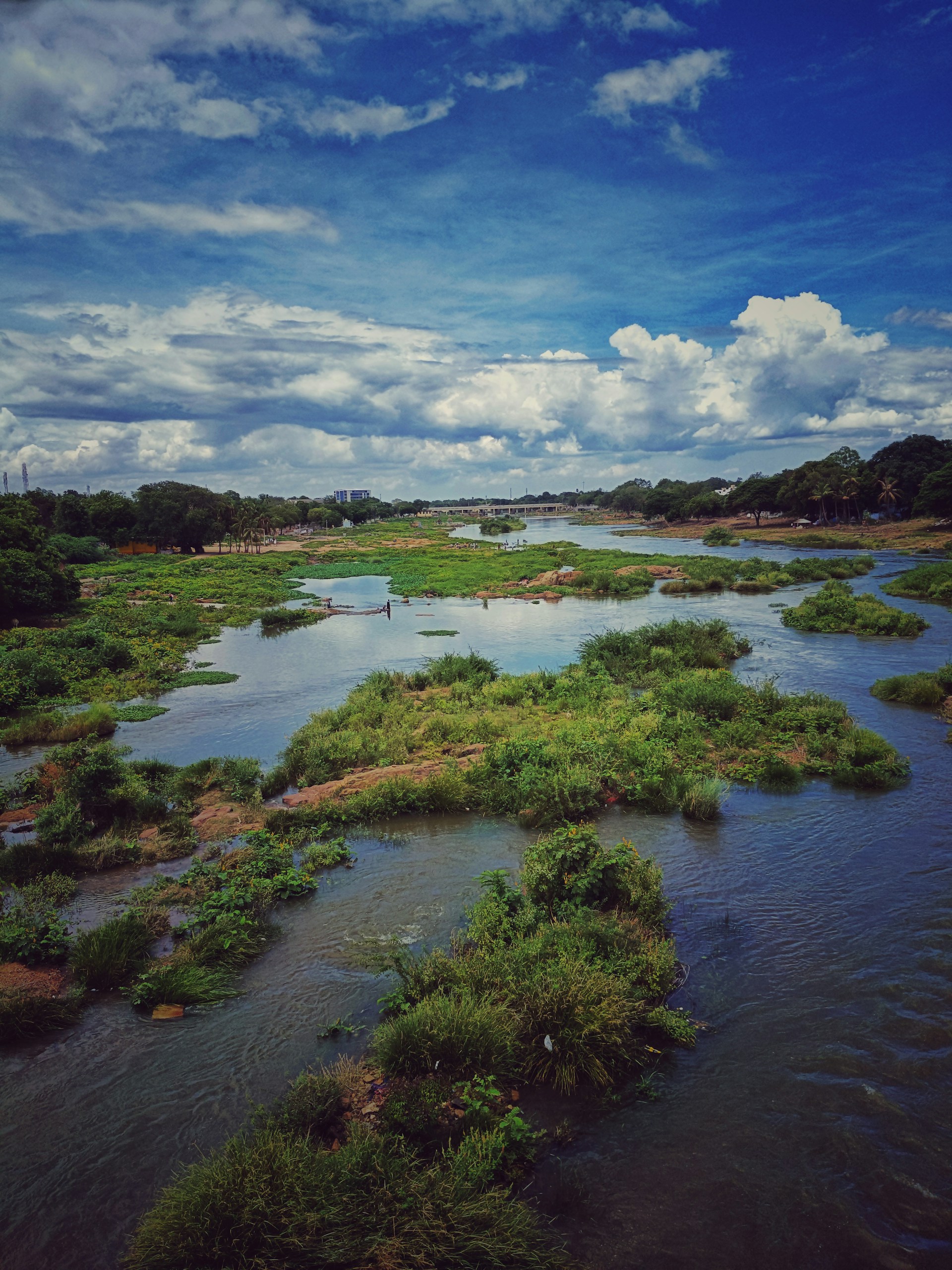 Madras High Court Declares Tamirabharani River a Juristic Entity