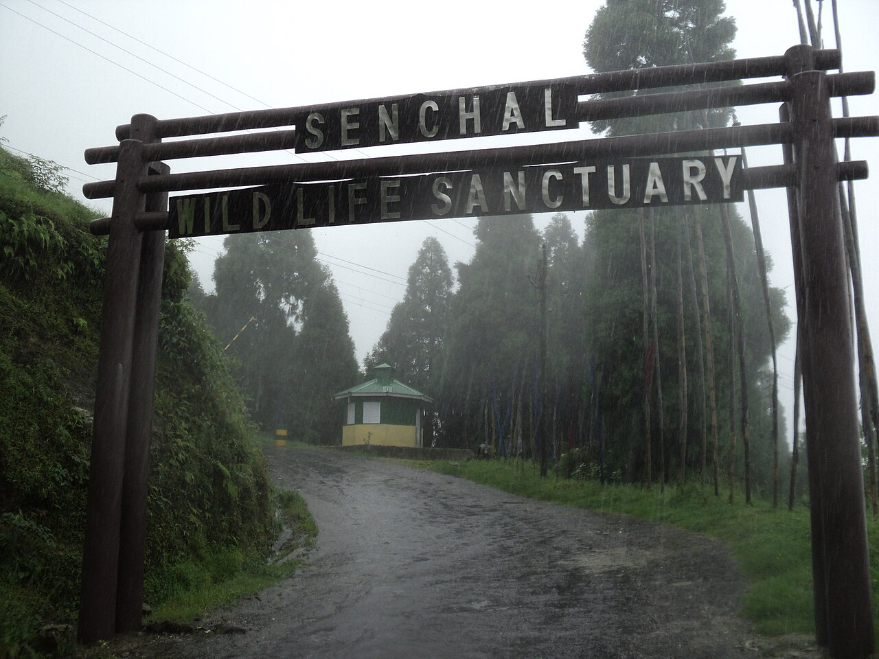 Senchal Wildlife Sanctuary, West Bengal