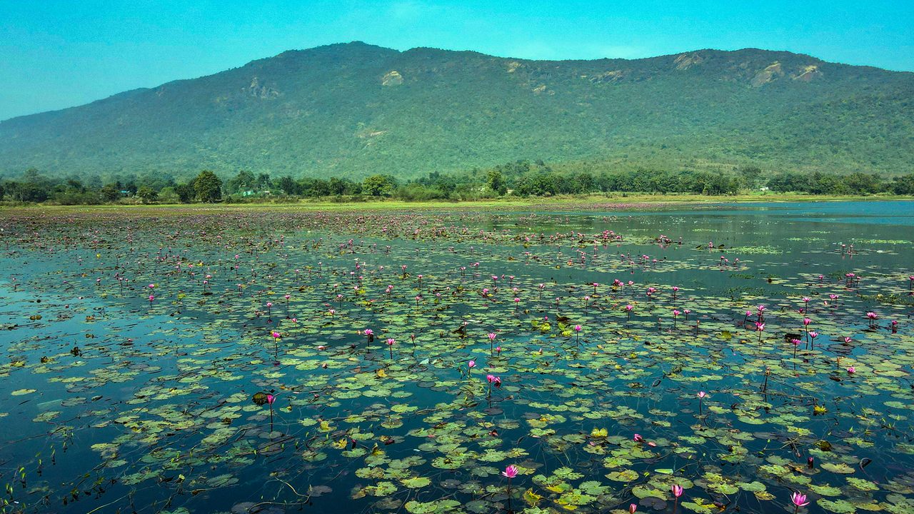 Dimna Lake Named Among 25 Red Fort Gallery Names