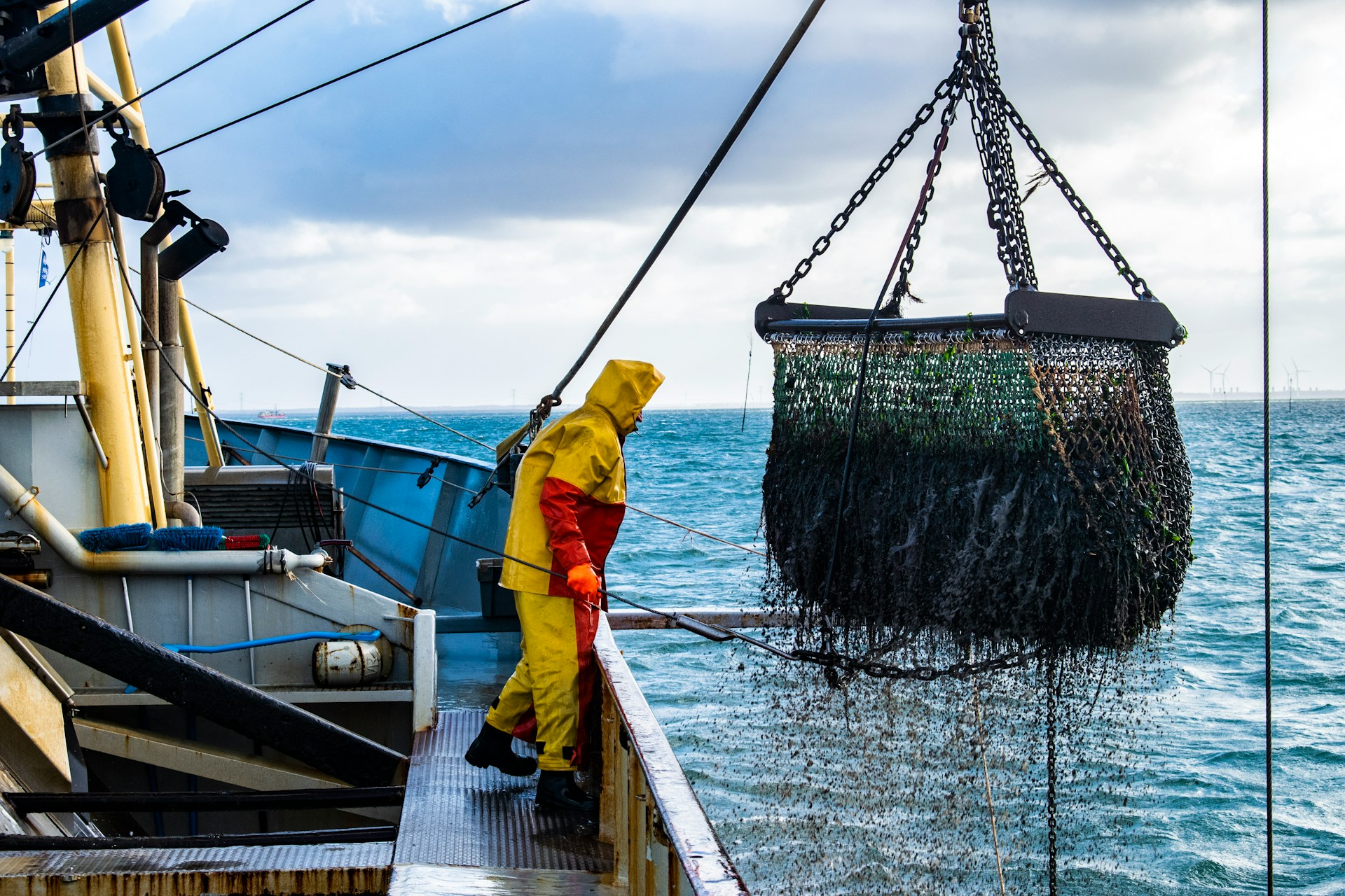 National Report on Deep-Sea Fishery Resources in Indian EEZ