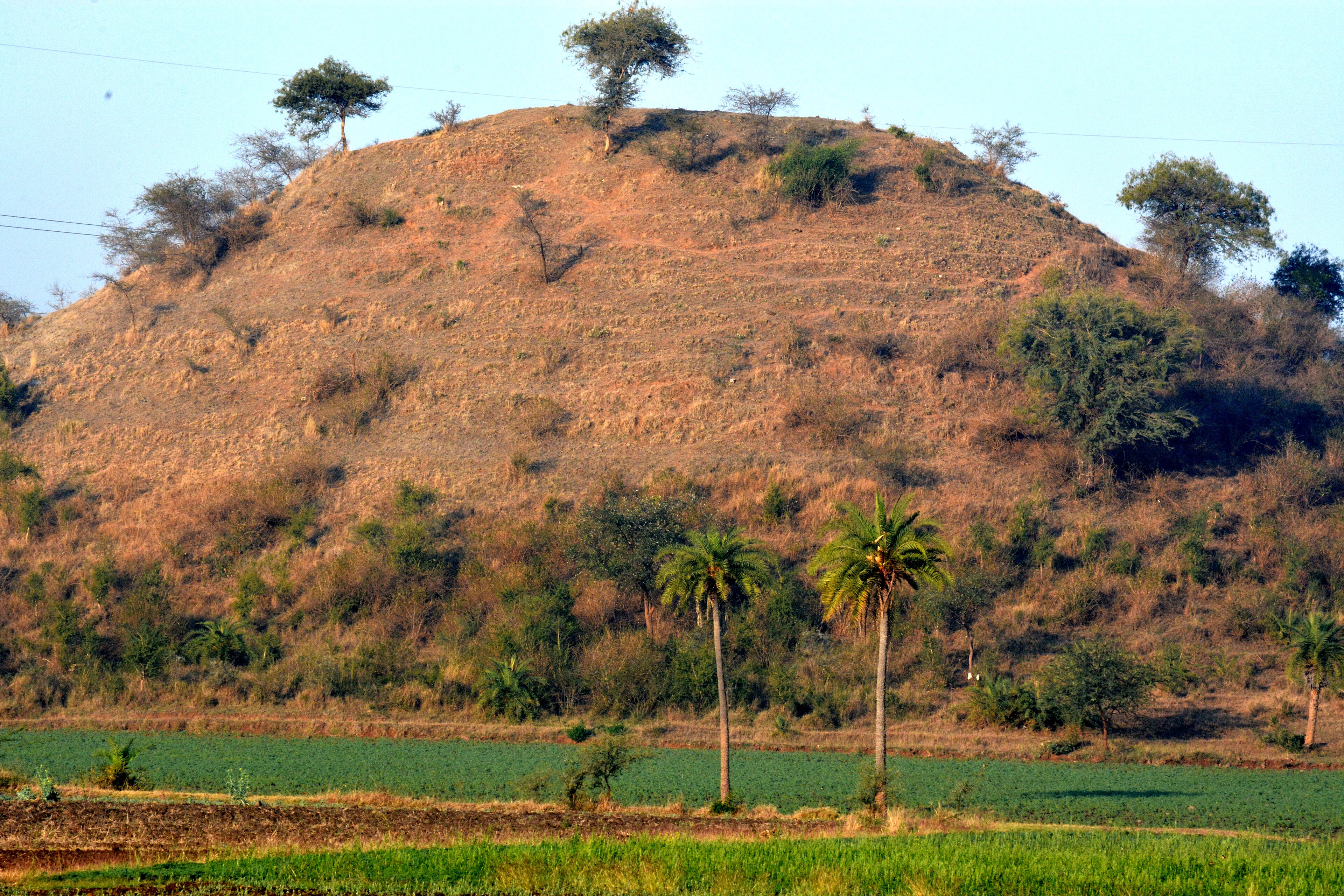 Madhya Pradesh Restarts Excavation at Vaishya Tekri Stupa