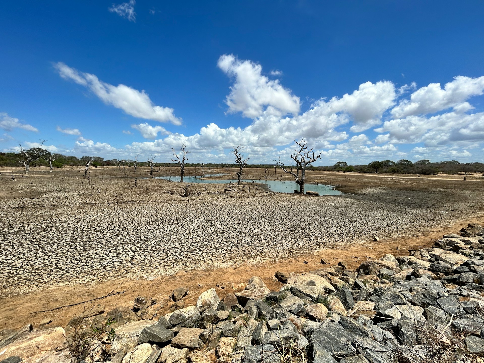 India at COP17 calls for proactive, tech-enabled drought resilience