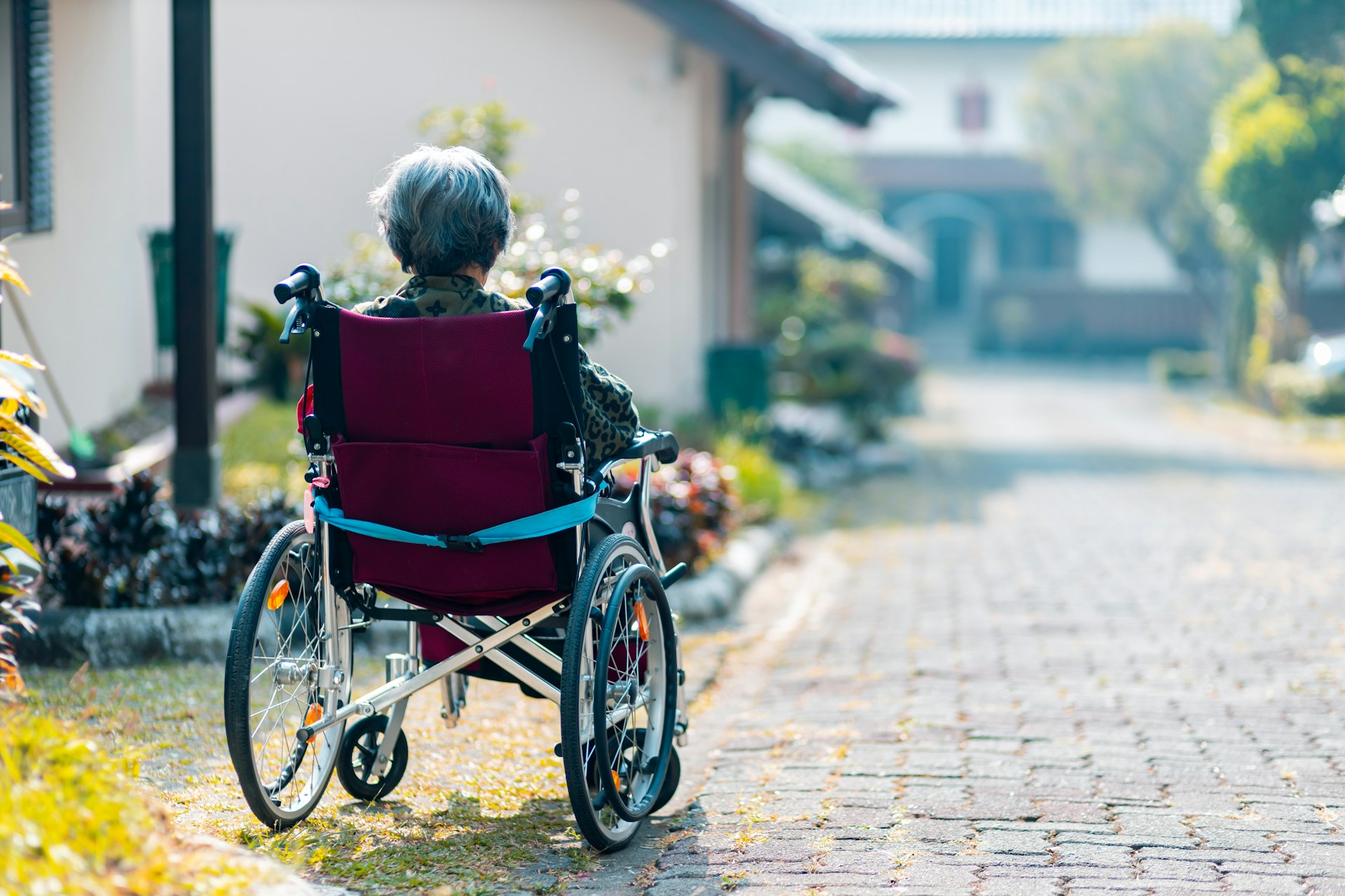 TZ-48 Molecular Probe for Early Alzheimer’s Detection