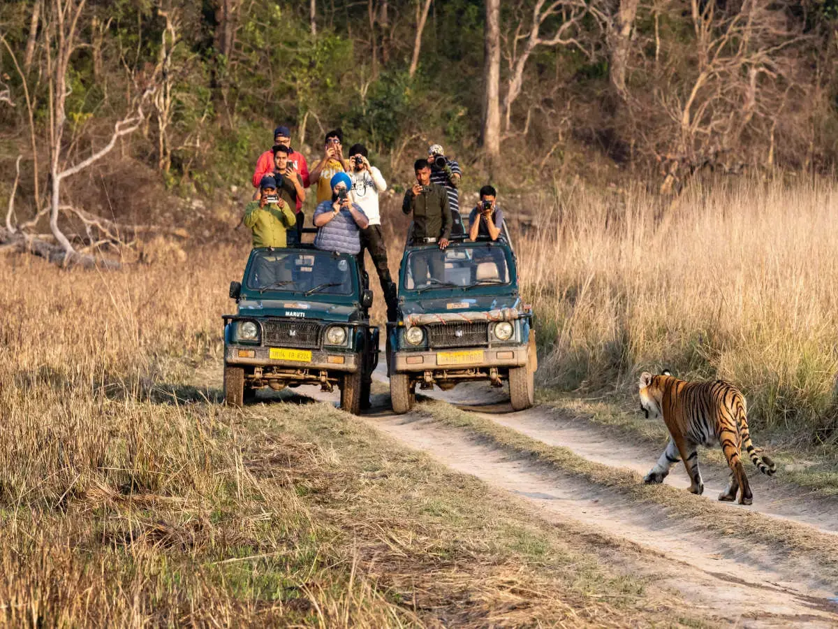 Corbett Tiger Reserve, Uttarakhand